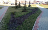 В спальном районе столицы украли кустарники и деревья из сквера