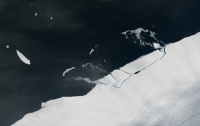 От Антарктиды откололся айсберг размером в Манхеттен (видео)