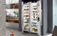 Холодильники  Liebherr: нюансы выбора