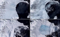 На Антарктиде разрушается ледник, который поднимет уровень моря на 10 см