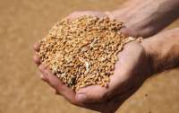 Рашисты украли десятки тонн украинского зерна
