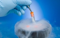 В Великобритании намерены создать модифицированные эмбрионы человека