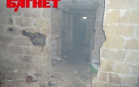 В подвалах Николаева выискивают бомжей
