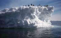 В Антарктиде зафиксировали климатическую катастрофу (видео)