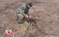 На Сумщині росіяни дистанційно замінували територію осколковими бомбами