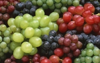 В винограде обнаружили панацею от самой смертоносной формы рака