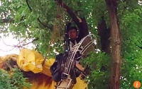 Китайский парашютист застрял на дереве во время предложения руки и сердца