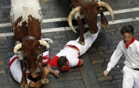 В Испании прошли дикие гонки с быками (ФОТО)