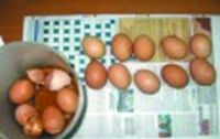 Женщина спрятала самогон в куриных яйцах