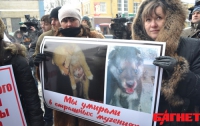 Как в Киеве судили живодера Ведулу (ФОТО)