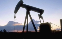 Украина начинает потребление нефти собственной добычи