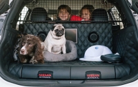 Nissan создал концепткар для собак X-Trail 4Dogs