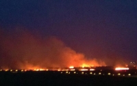Масштабный пожар под Киевом: огонь 