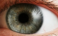 Продукты, которые меняют цвет глаз