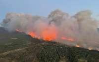 Во Франции бушуют масштабные лесные пожары (видео)