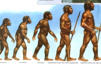Первые европейские homo sapiens загорали в Крыму 