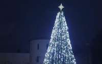 В Украине зажгли первую новогоднюю елку (фото)