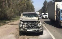 В Киеве автомобиль насмерть сбил лося