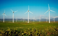 Правило местной составляющей в ветроэнергетике необходимо сохранить – глава профильной ассоциации