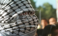 Палестинского подростка родные казнили за предательство
