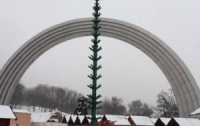Главная елка Киева почти готова