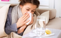 Эпидемия гриппа свирепствует в четырех областях Украины