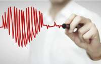 Важно знать каждому: врач рассказала об основных показателях здоровья сердца