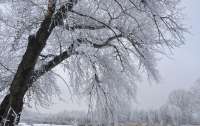 В Украине похолодает и пройдет обильный снегопад