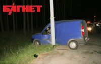 В Николаевской области водитель микроавтобуса врезался в дерево