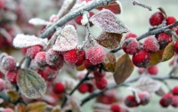 Северным областям центральной России угрожают морозы