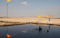 Эксперт: добыча сланцевого газа безопасна для экологии