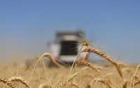 Еврокомиссия запретила поставки украинского зерна в пять стран