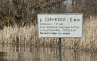 Блекаут через агробізнес: як викачування Синюхи може залишити Кіровоградщину без світла та води