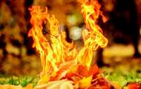 Сжигание листьев может закончиться онкологией - медики