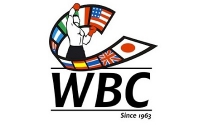 В феврале выберут президента WBC