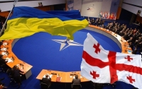 Россия приложила все усилия, чтобы Украина и Грузия не вступили в НАТО