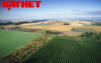 В Херсонской области разоблачили мошенников, которые «нагрелись» на аферах с землей на 57 млн