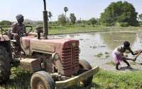 В Индии 26 человек погибли из-за падения трактора в пруд (видео)
