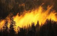 МЧС: В Украине - наивысший уровень пожароопасности