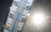 Начнут отказывать органы: Синоптики прогнозируют аномально жаркое лето