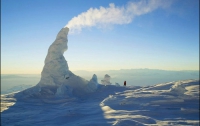 В Антарктиде обнаружены 30-ти килограммовые червяки