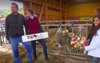 У Німеччині обирали найгарнішу корову (ВІДЕО)