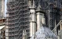 На реставрацию Нотр-Дама собрали €830 млн