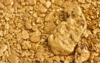 Ученые обнаружили бактерии, которые собирают золото