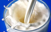 В Украине молоко производить не выгодно, - эксперт  