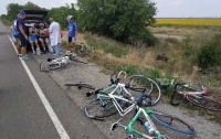 Под Николаевом авто въехало в группу детей-велосипедистов