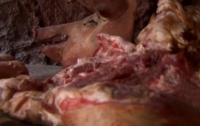 В Украине за год накапливается полмиллиона тонн гнилого мяса 