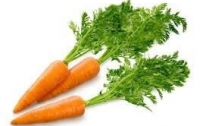 5 фактов о пользе моркови для детей