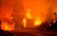 Жуткие кадры: дрон заснял сгоревшие машины на португальской дороге (видео)