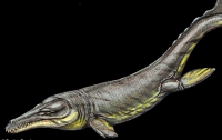 Ученые обнаружили гигантского «крокодила-сосунка», который жил 150 миллионов лет назад (ФОТО)